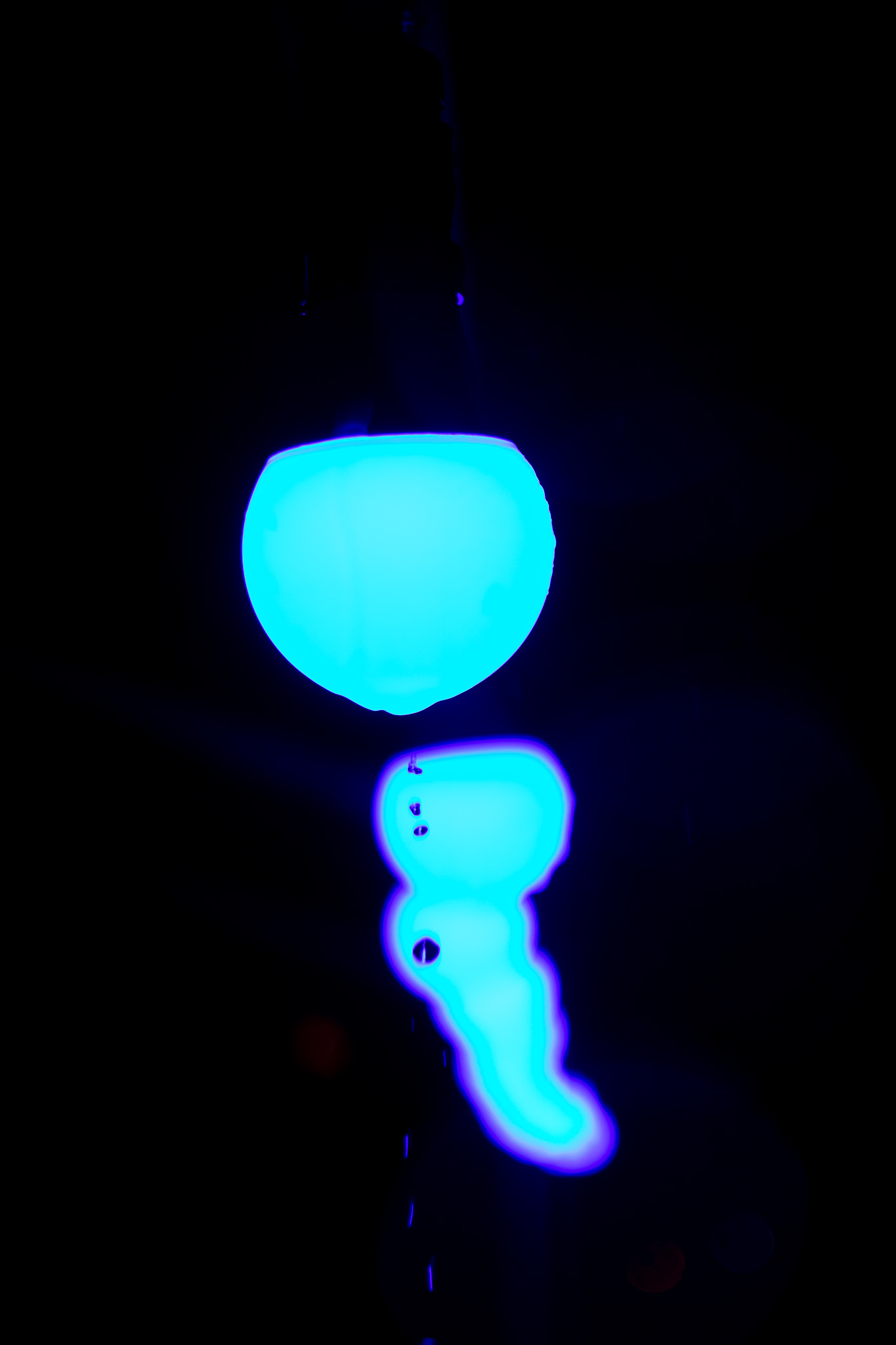 Bluebulb